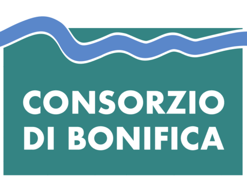 Il nuovo Consorzio