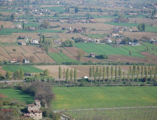 Efficientamento irriguo della Piana Reatina