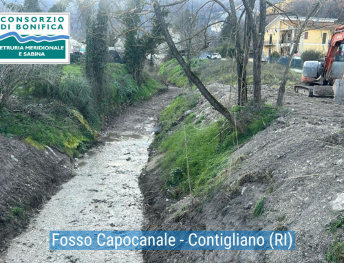 ATTIVITA’ DI MANUTENZIONE SETTIMANA 03/03/2025 – 08/03/2025 – Documentazione fotografica