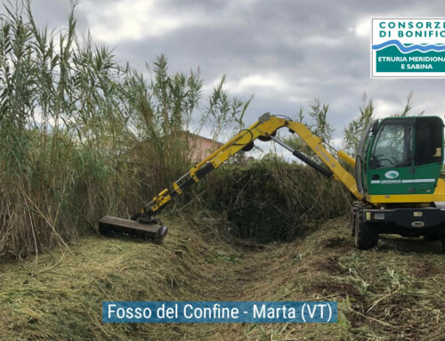 ATTIVITA’ DI MANUTENZIONE SETTIMANA 10/11/2025 – 15/11/2025 – Documentazione fotografica