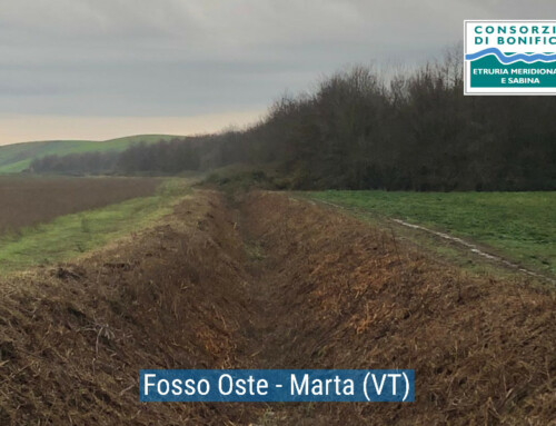 ATTIVITA’ DI MANUTENZIONE SETTIMANA 15/12/2025 – 20/12/2025 – Documentazione fotografica