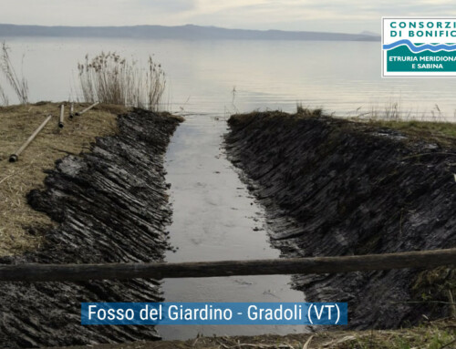 ATTIVITA’ DI MANUTENZIONE PERIODO 16/02/2026 – 21/02/2026 – Documentazione fotografica