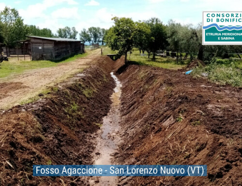 ATTIVITA’ DI MANUTENZIONE PERIODO 01/06/2026 – 06/06/2026 – Documentazione fotografica